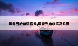 珲春到哈尔滨高铁,珲春到哈尔滨高铁票