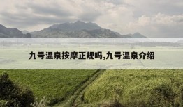 九号温泉按摩正规吗,九号温泉介绍