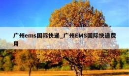 广州ems国际快递_广州EMS国际快递费用