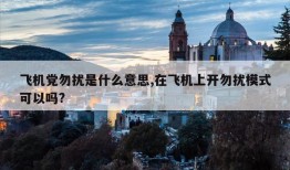 飞机党勿扰是什么意思,在飞机上开勿扰模式可以吗?