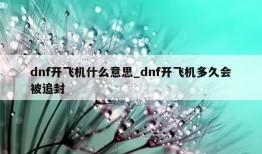 dnf开飞机什么意思_dnf开飞机多久会被追封