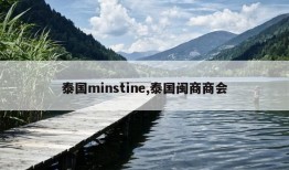 泰国minstine,泰国闽商商会