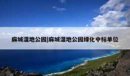 麻城湿地公园|麻城湿地公园绿化中标单位