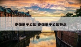 枣强董子公园|枣强董子公园特点