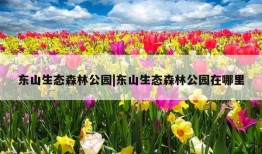 东山生态森林公园|东山生态森林公园在哪里