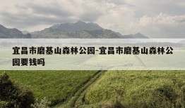 宜昌市磨基山森林公园-宜昌市磨基山森林公园要钱吗