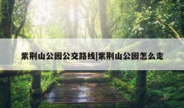 紫荆山公园公交路线|紫荆山公园怎么走