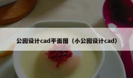 公园设计cad平面图（小公园设计cad）