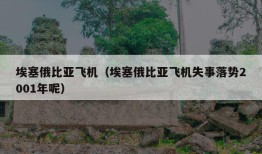 埃塞俄比亚飞机（埃塞俄比亚飞机失事落势2001年呢）