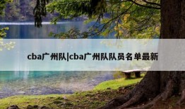 cba广州队|cba广州队队员名单最新