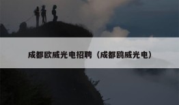 成都欧威光电招聘（成都鸥威光电）