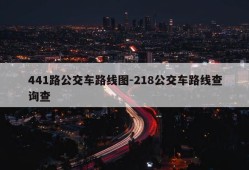 441路公交车路线图-218公交车路线查询查