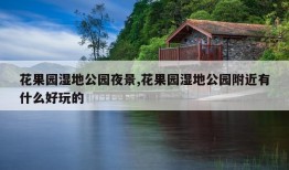 花果园湿地公园夜景,花果园湿地公园附近有什么好玩的