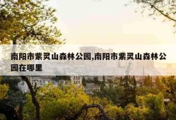 南阳市紫灵山森林公园,南阳市紫灵山森林公园在哪里