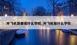 开飞机需要读什么学校_开飞机报什么学校