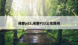 成都p22,成都P22公交路线