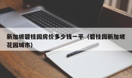 新加坡碧桂园房价多少钱一平（碧桂园新加坡花园城市）