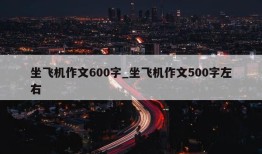 坐飞机作文600字_坐飞机作文500字左右