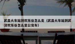 武昌火车站到欢乐谷怎么走（武昌火车站到武汉欢乐谷怎么坐公交车）