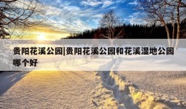 贵阳花溪公园|贵阳花溪公园和花溪湿地公园哪个好