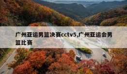 广州亚运男篮决赛cctv5,广州亚运会男篮比赛