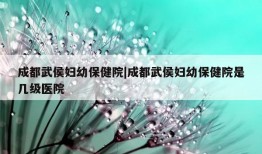 成都武侯妇幼保健院|成都武侯妇幼保健院是几级医院