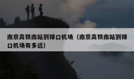 南京高铁南站到禄口机场（南京高铁南站到禄口机场有多远）