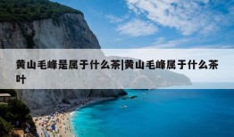 黄山毛峰是属于什么茶|黄山毛峰属于什么茶叶