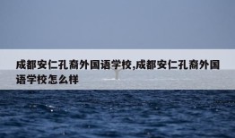 成都安仁孔裔外国语学校,成都安仁孔裔外国语学校怎么样