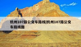 杭州107路公交车路线|杭州107路公交车路线图