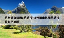 杭州萧山机场a航站楼-杭州萧山机场航站楼分布平面图