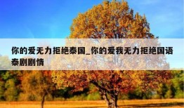 你的爱无力拒绝泰国_你的爱我无力拒绝国语泰剧剧情