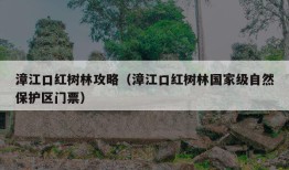 漳江口红树林攻略（漳江口红树林国家级自然保护区门票）