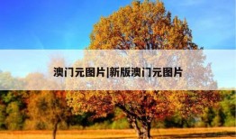 澳门元图片|新版澳门元图片