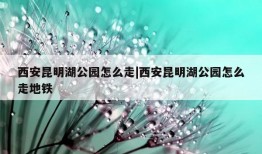 西安昆明湖公园怎么走|西安昆明湖公园怎么走地铁