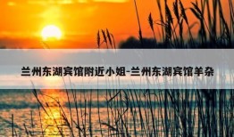 兰州东湖宾馆附近小姐-兰州东湖宾馆羊杂