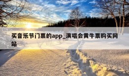 买音乐节门票的app_演唱会黄牛票购买网站