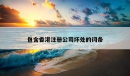 包含香港注册公司坏处的词条