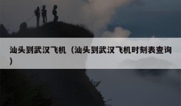 汕头到武汉飞机（汕头到武汉飞机时刻表查询）