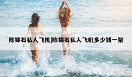 陈锦石私人飞机|陈锦石私人飞机多少钱一架