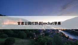 甘肃公园打野战|mchat苹果