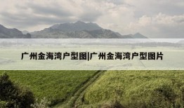 广州金海湾户型图|广州金海湾户型图片