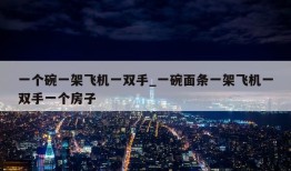 一个碗一架飞机一双手_一碗面条一架飞机一双手一个房子