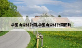 华蓥山森林公园,华蓥山森林公园图片